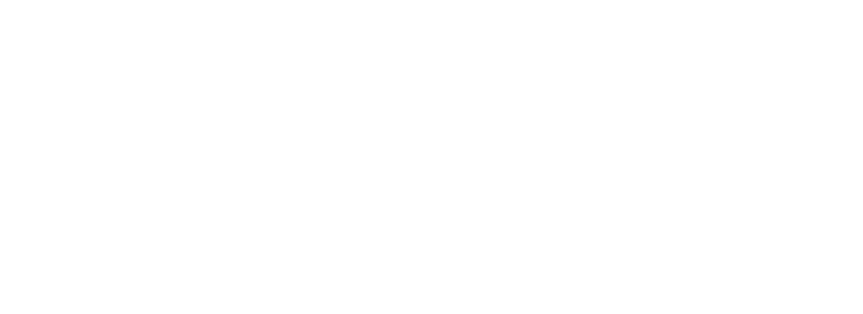 A image of a forest with half of the picture emphasising on the lushness of the untouched mossy forest flow